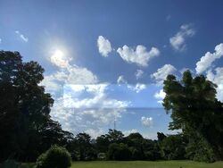 Dalvey Estate (D10), Detached #503641411